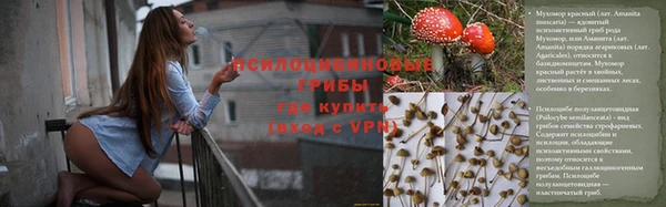 молекула духа Армянск
