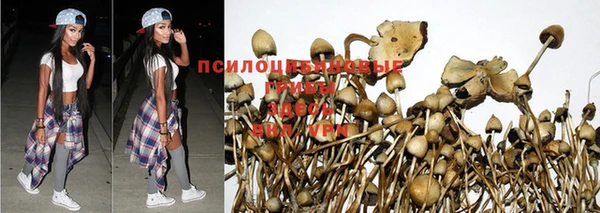 молекула духа Армянск