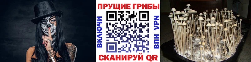 Галлюциногенные грибы мухоморы  как найти наркотики  МЕГА вход  Белозерск 